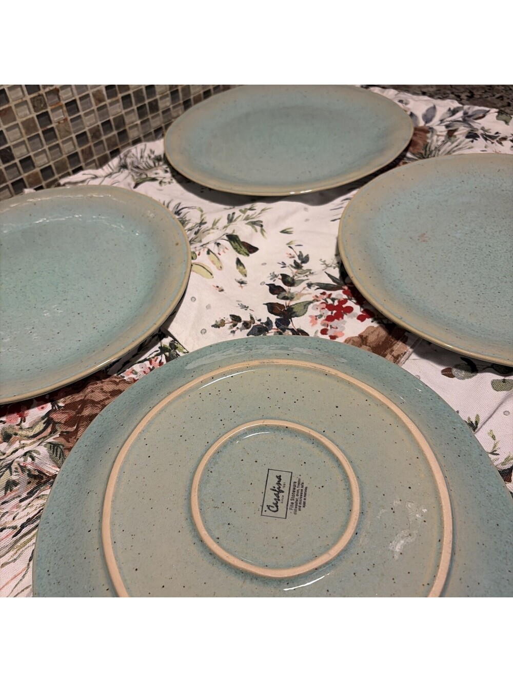 Casafina stoneware dinner plates set of 4